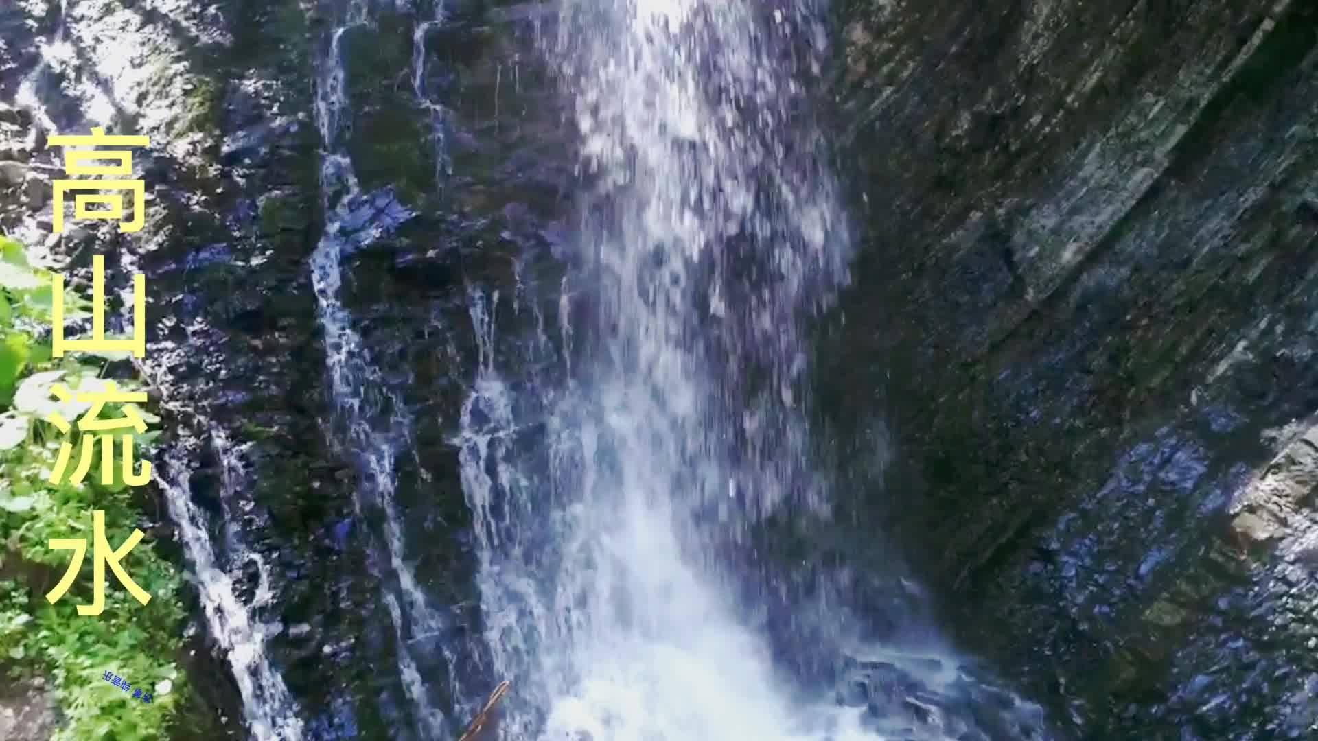盐和避难所